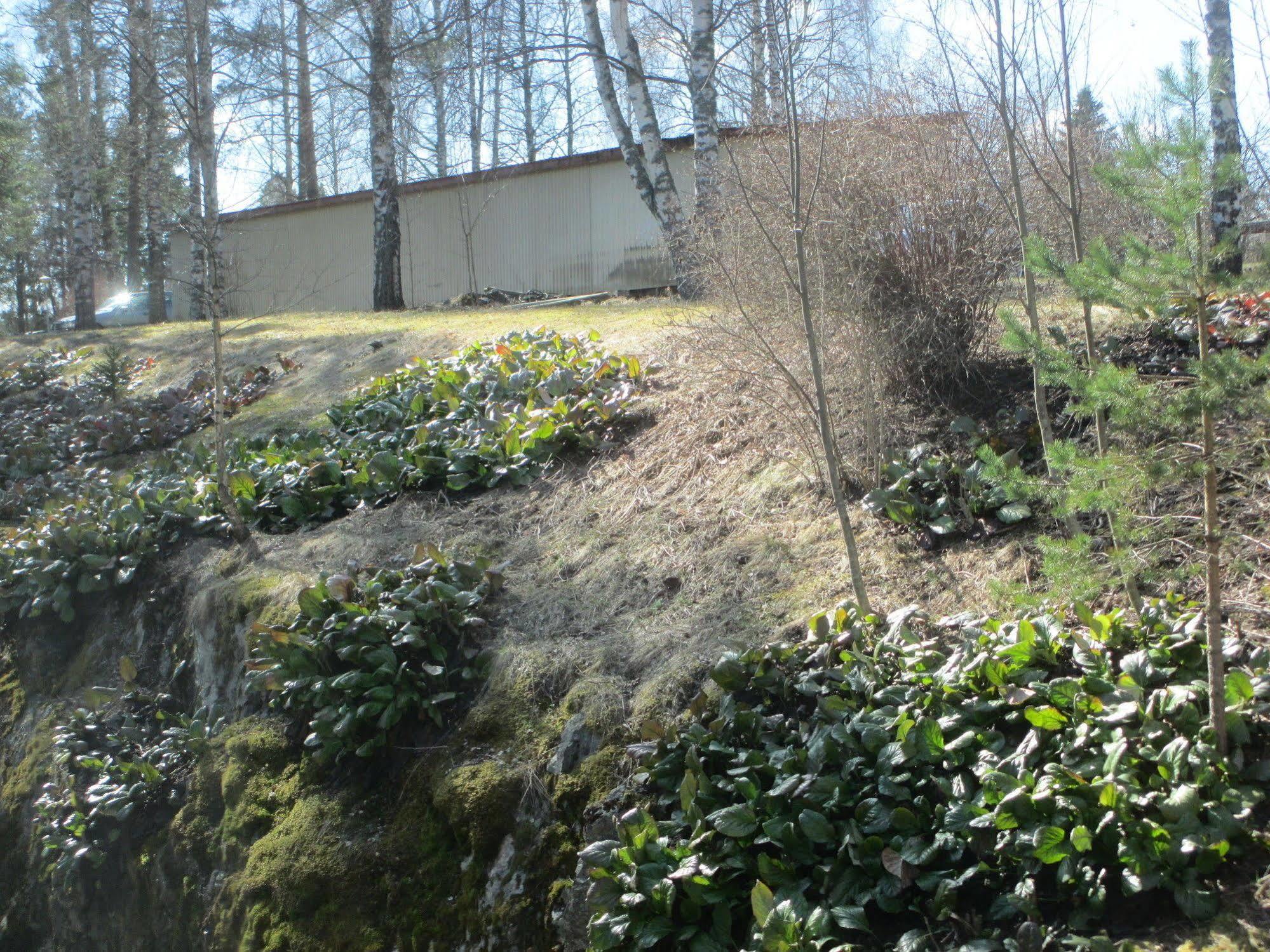 Huoneistohotelli Tarjanne Виррат
